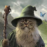 Avatar photo