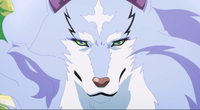 Avatar photo